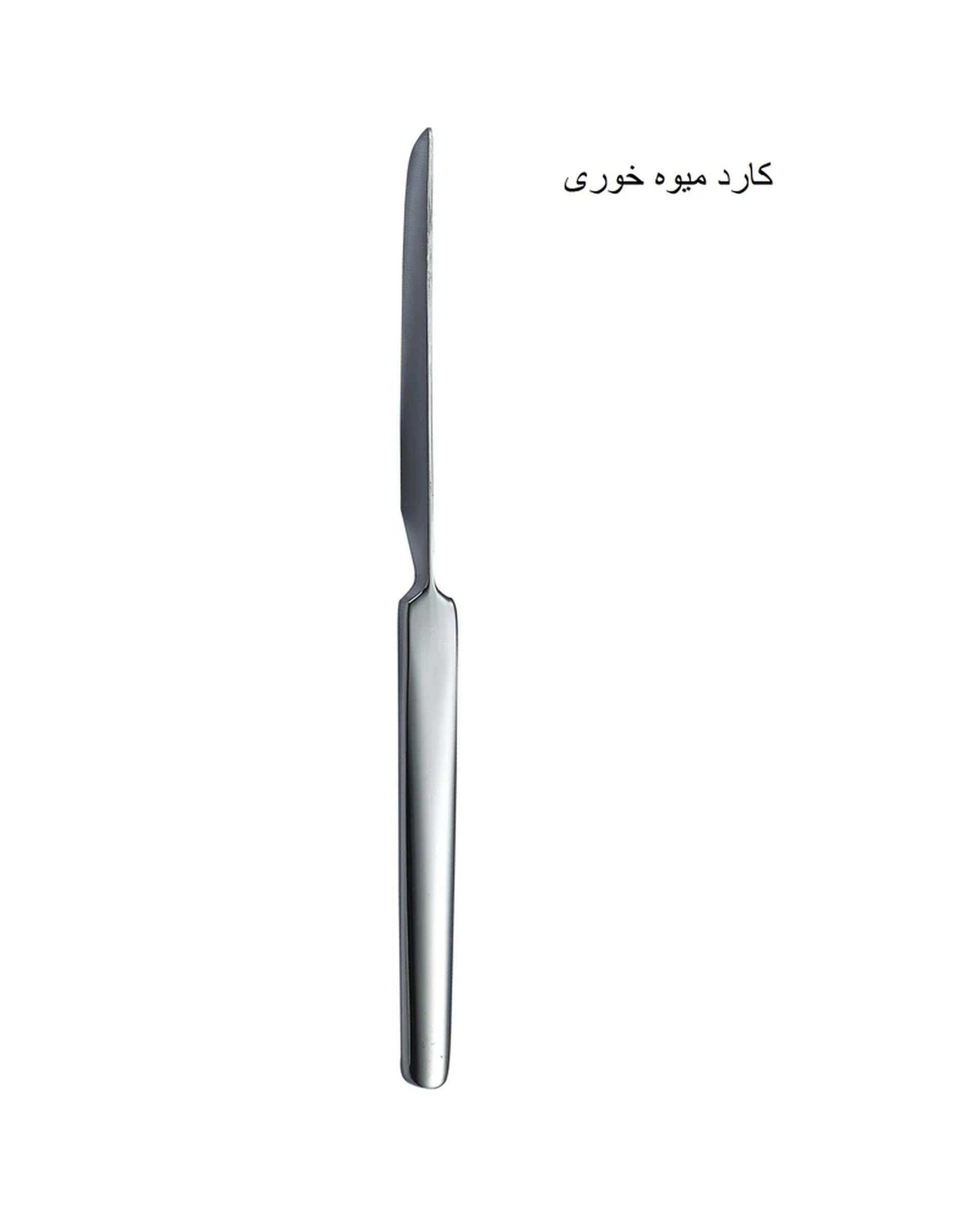 سرویس قاشق و چنگال 5 پارچه استیل جی فی نی GIFFINI مدل 168