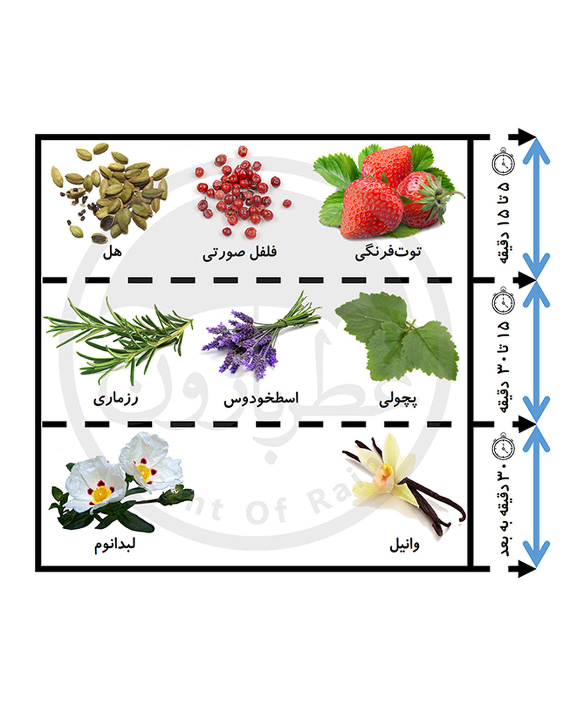 عطر مردانه پلیس لیمیتد Police Limited آیکون حجم 125ml