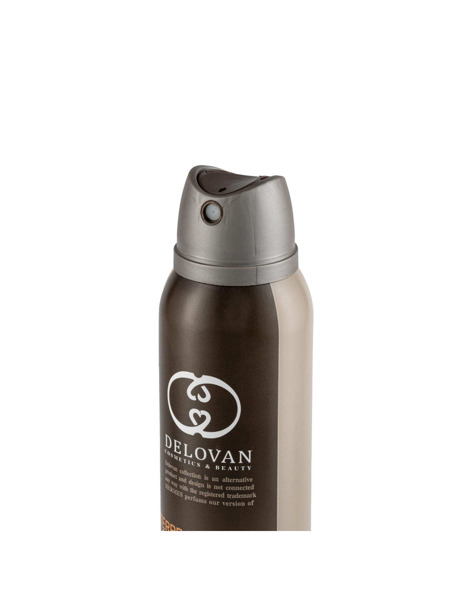 اسپری بدن مردانه دلوان Delvan مدل Terre Hermes 104 حجم 200ml