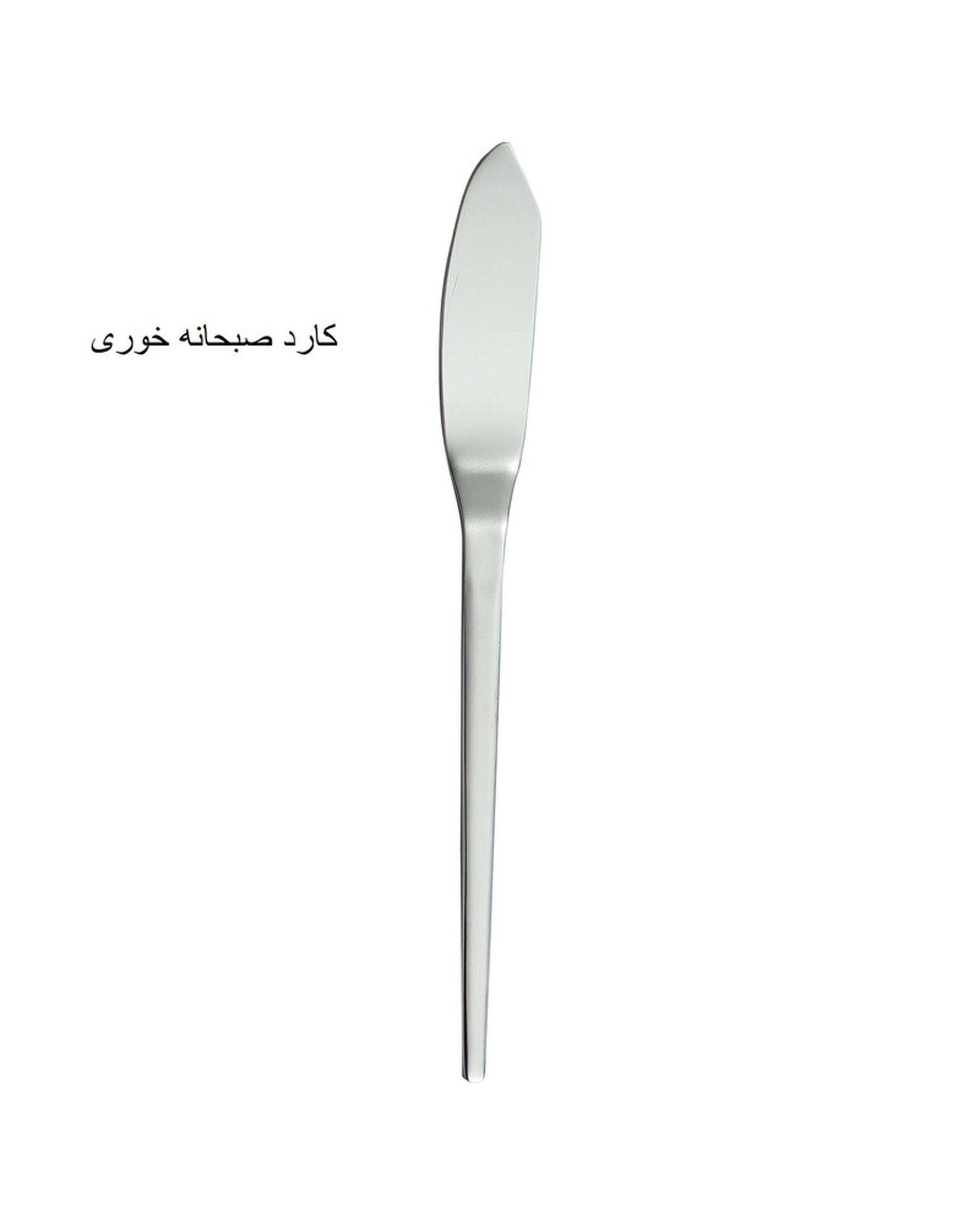سرویس قاشق و چنگال 10 پارچه 1 نفره استیل جی فی نی GIFFINI مدل G-10