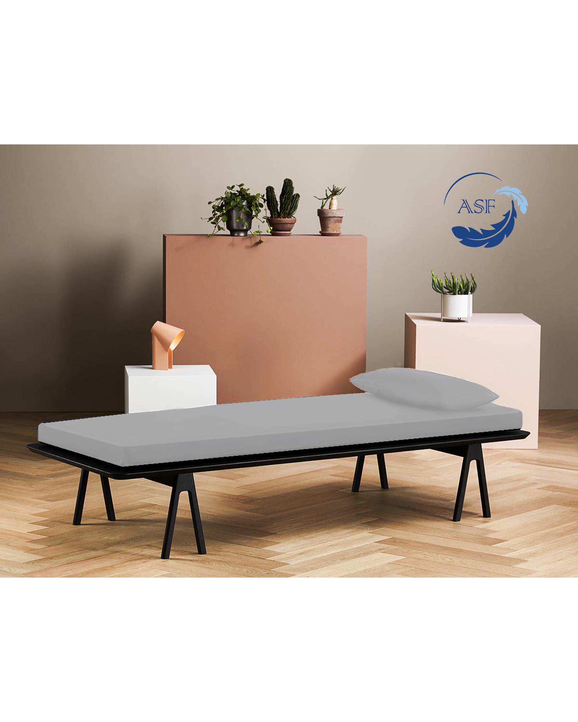 تشک ژاپنی طبی دو نفره سایز 160*200 نقره ای ای اس اف ASF مدل ZENTO Max به همراه روبالشی