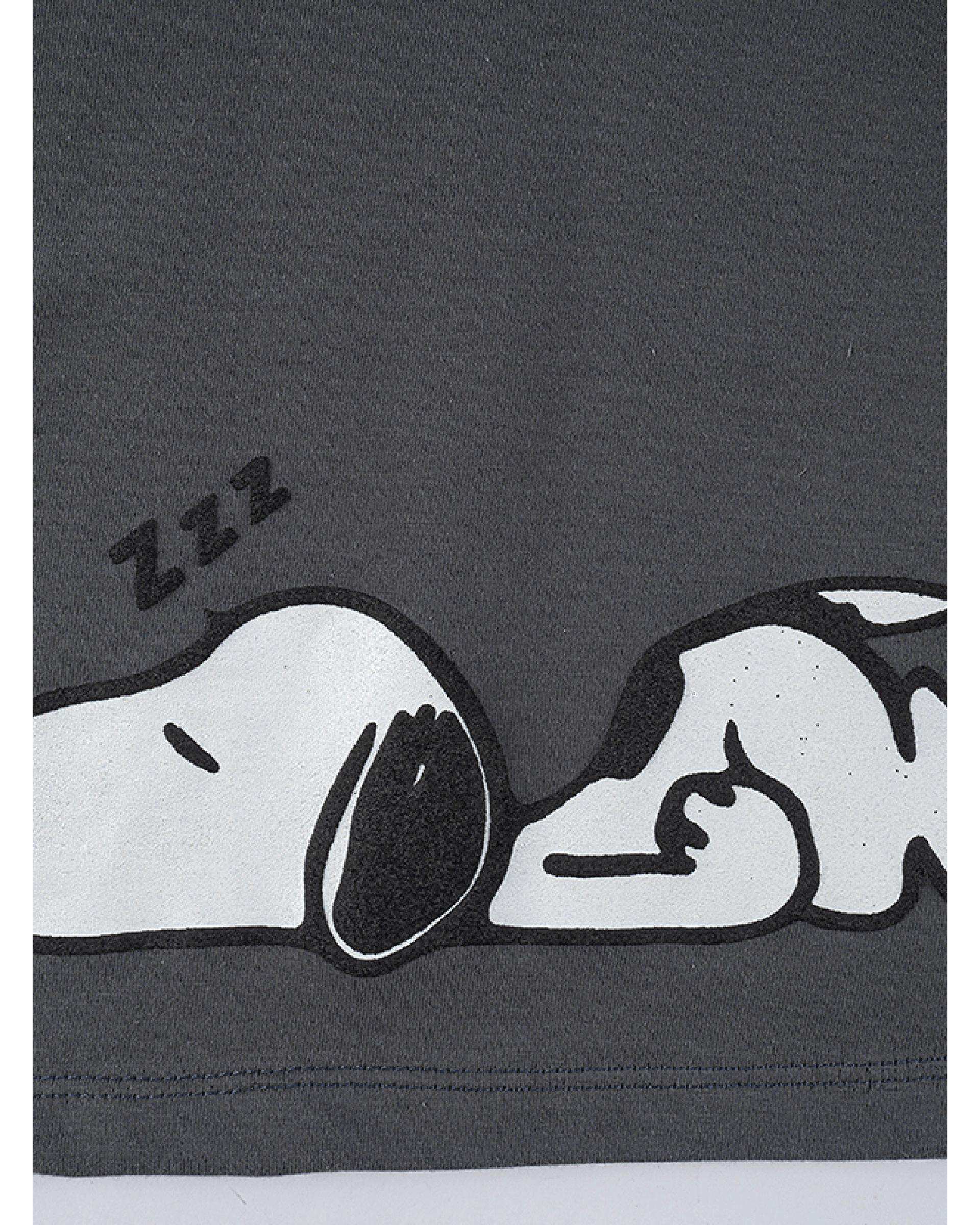 ست سه تکه پسرانه خاکستری فیورلا Fiorella مدل جین اسنوپی خوابالو کد 35544