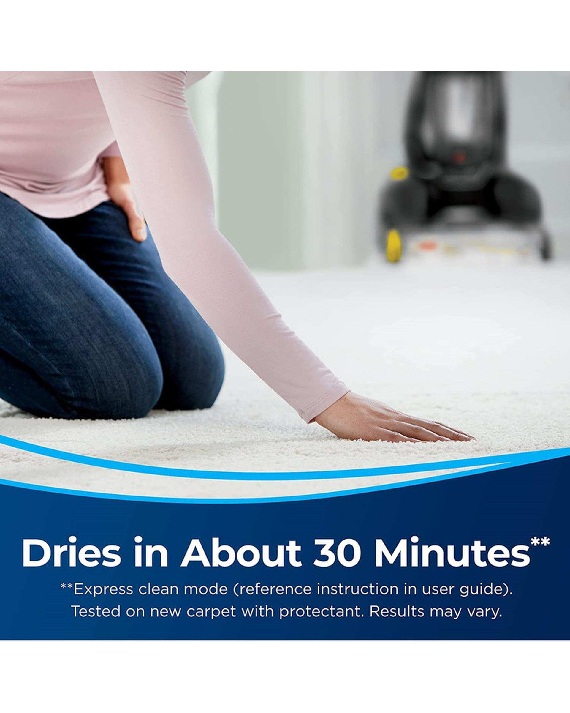 فرش شور و مبل شور مشکی بیسل Bissell مدل 2066E