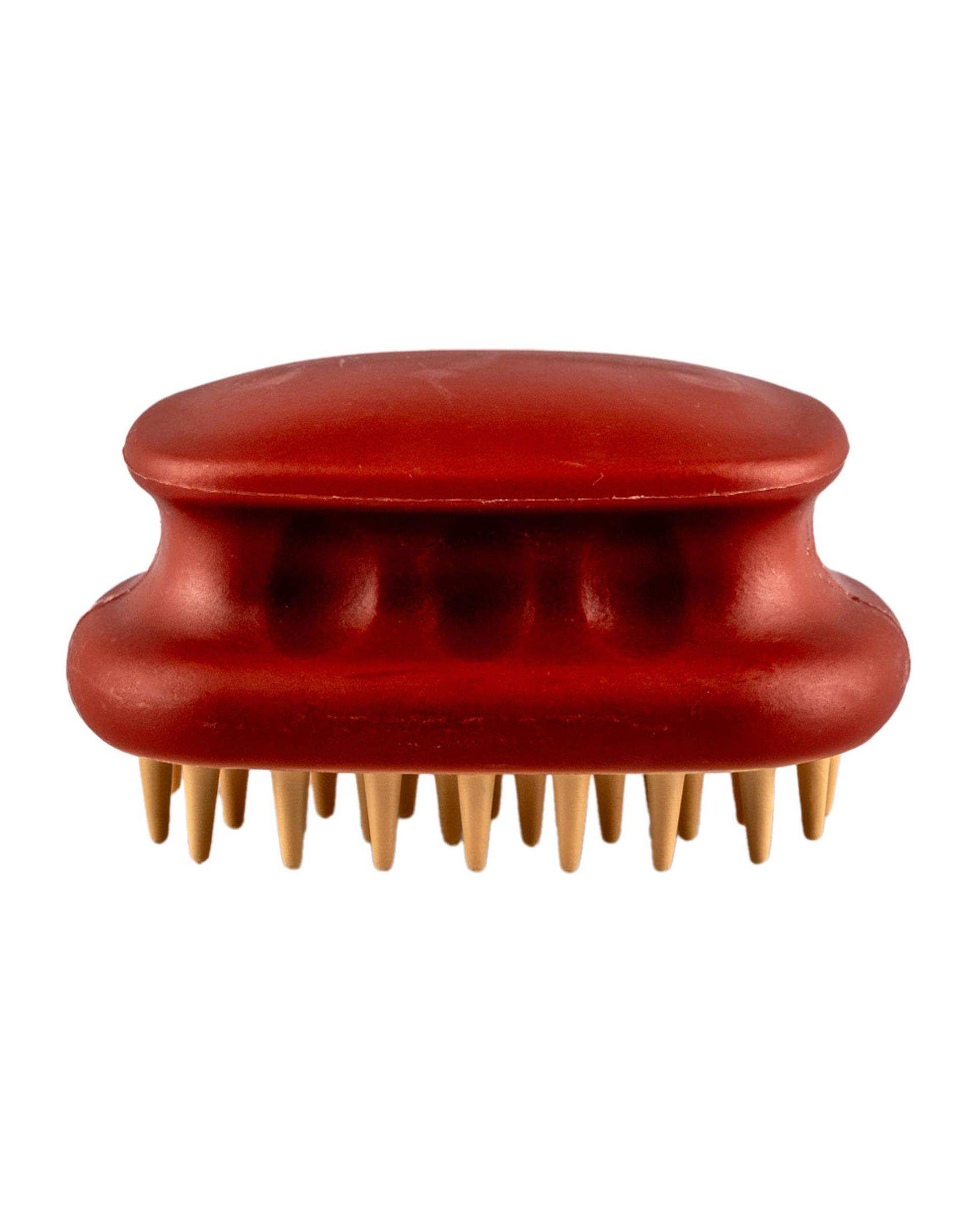 براش سر شور و ماساژور کف سر سیلیکونی دکتر مورنینگ ارسال رنگ رندوم