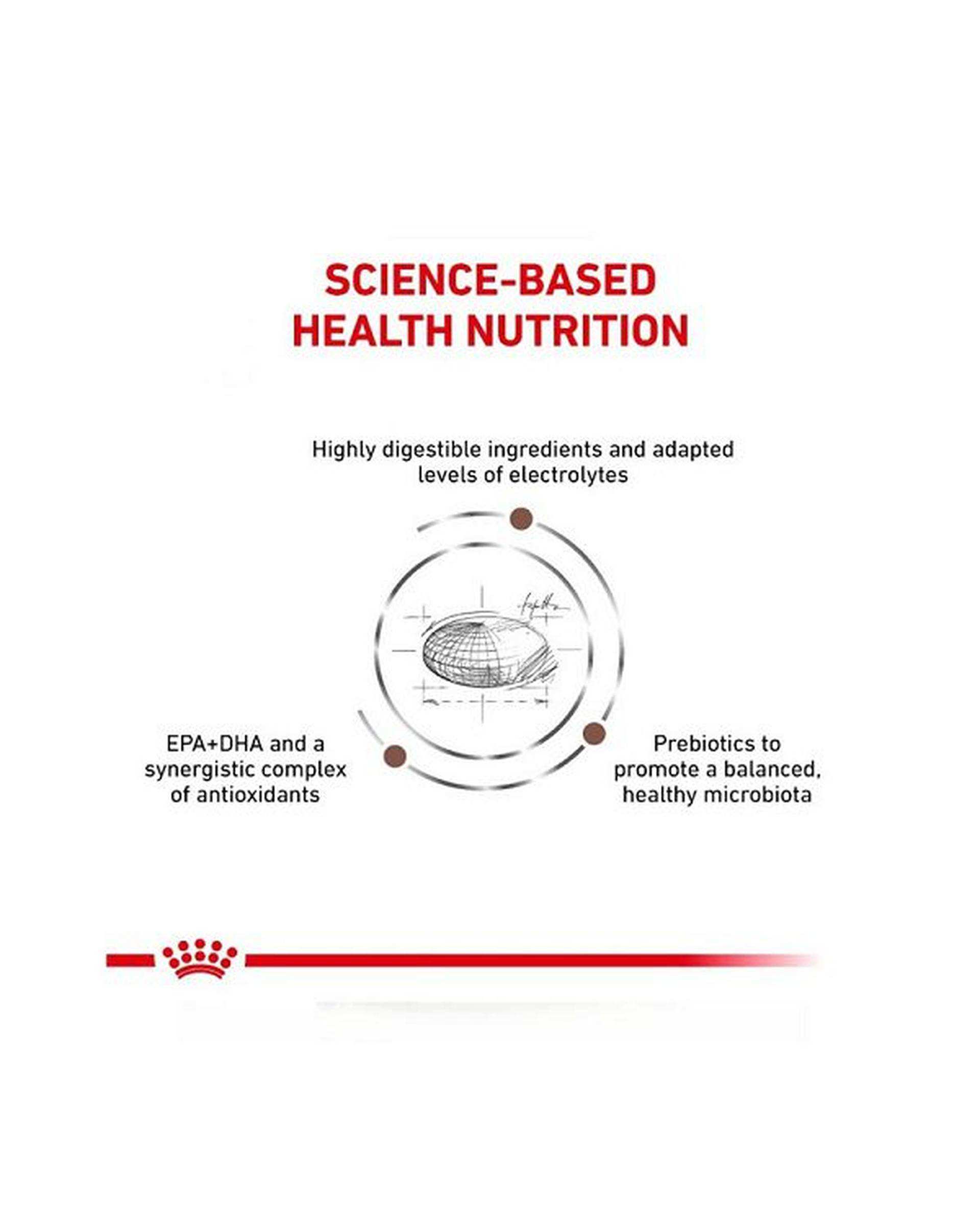 غذای خشک سگ رویال کنین Royal Canin مدل گسترواینتستینال Gasterointestinal وزن 2 کیلوگرم