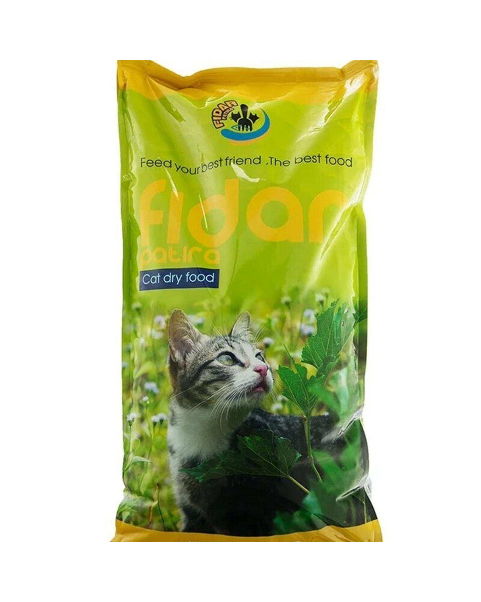 غذای خشک گربه Fidar Patira مدل جونیور وزن 10 کیلوگرم