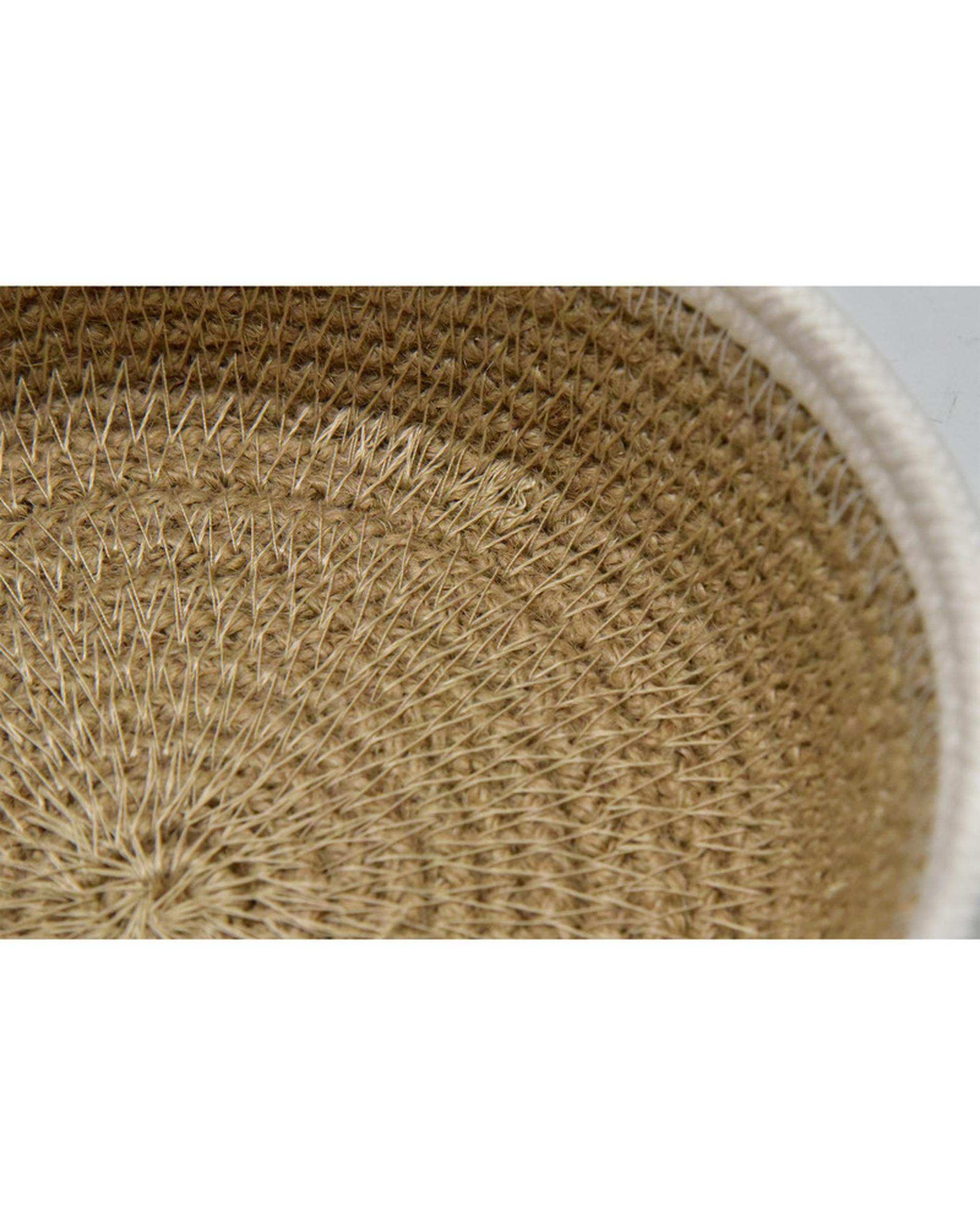 سبد نظم دهنده سی اند اس کد 6706