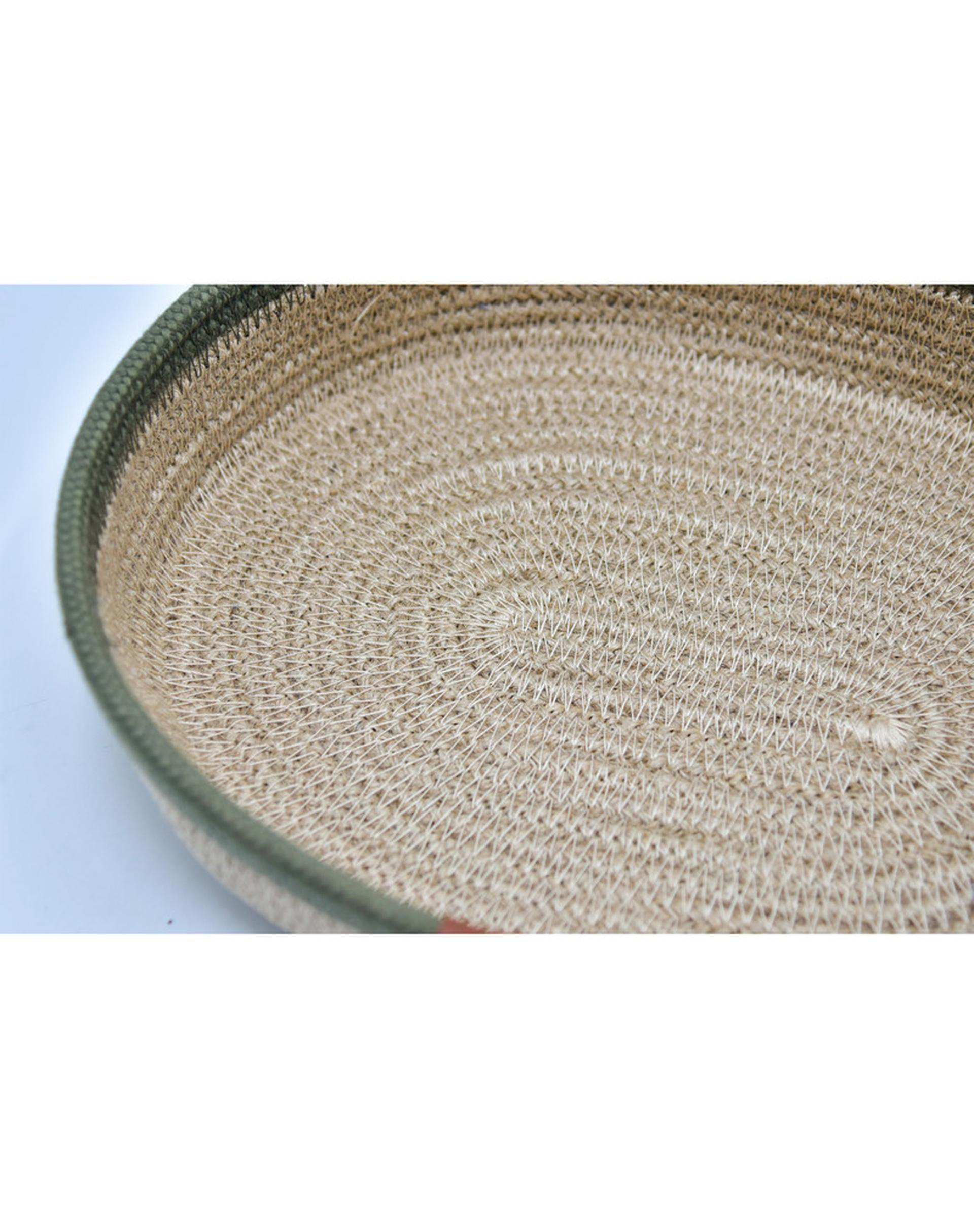 سبد نظم دهنده بیضی سی اند اس مدل G00 کد 6719