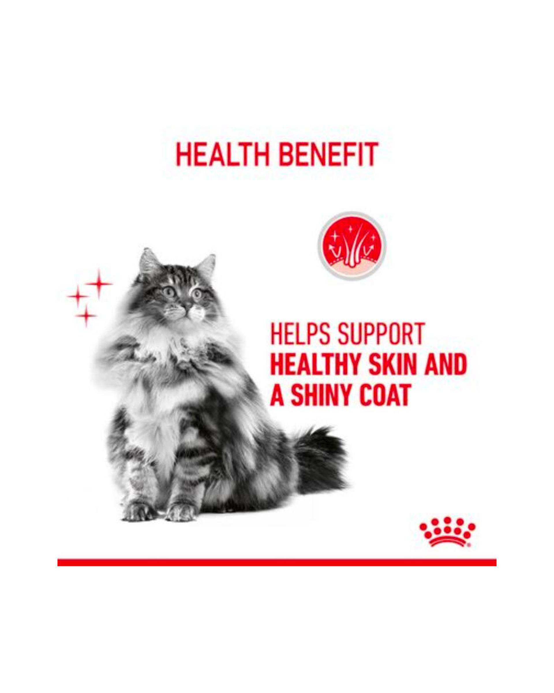 پوچ گربه مخصوص پوست و مو رویال کنین Royal Canin وزن 85 گرم