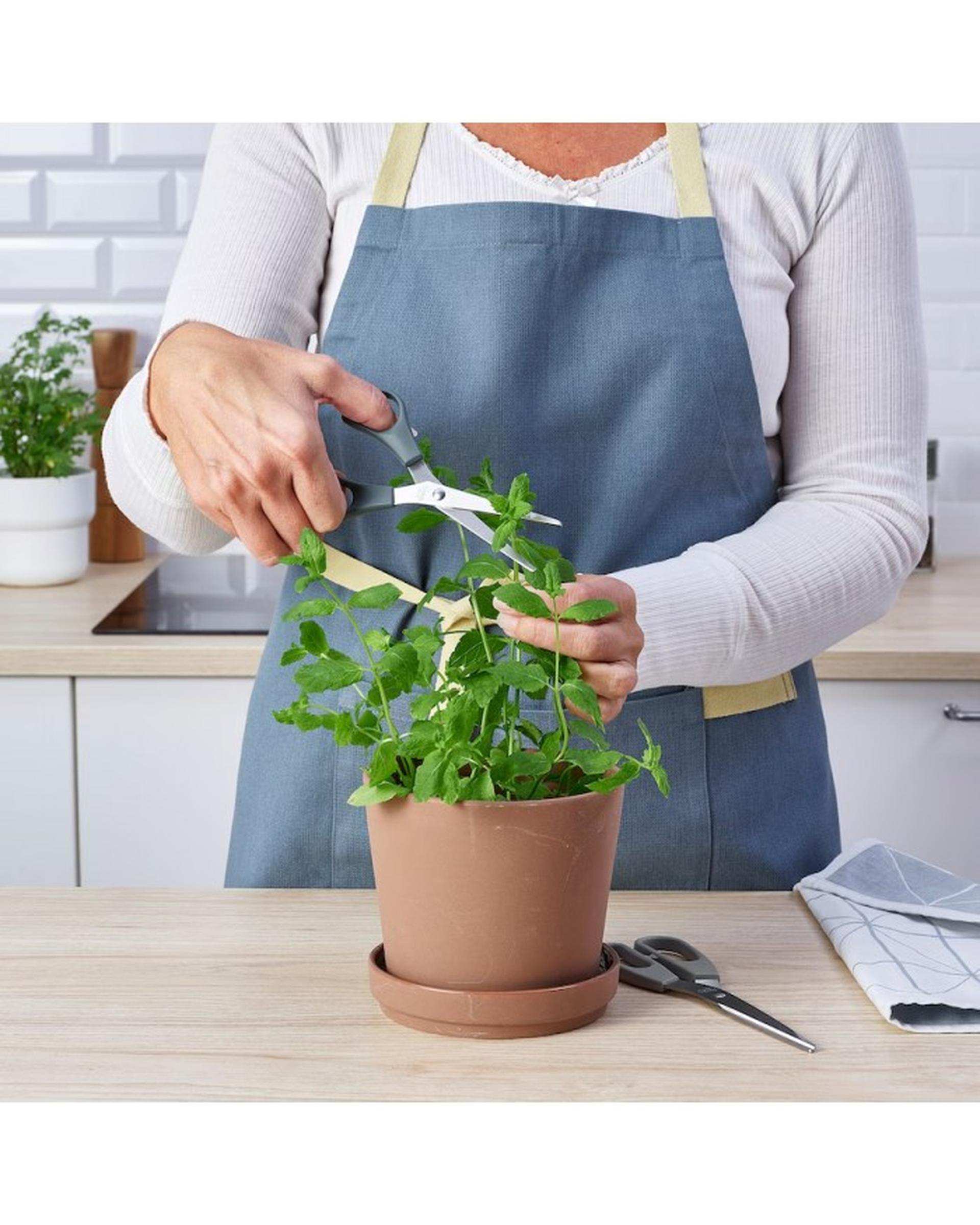 ست 2 عددی قیچی دو رنگ ایکیا Ikea مدل SVARDFISK