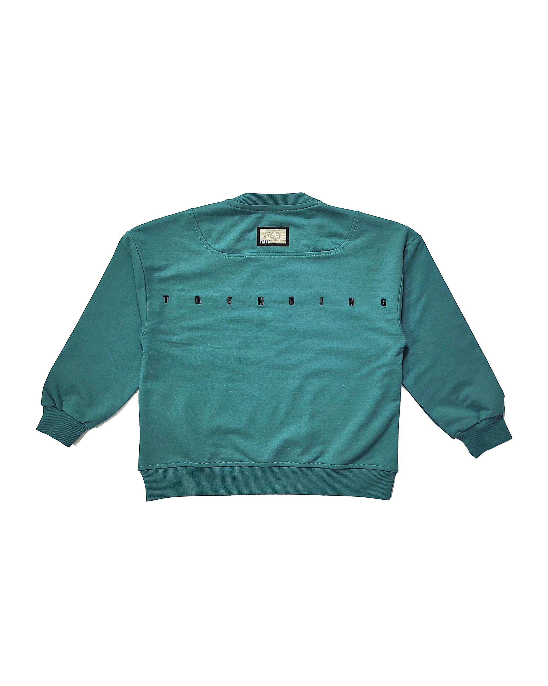 بلوز پسرانه سبز لئو کیدز Leo Kids طرح WYLD LIFE کد 1-5873