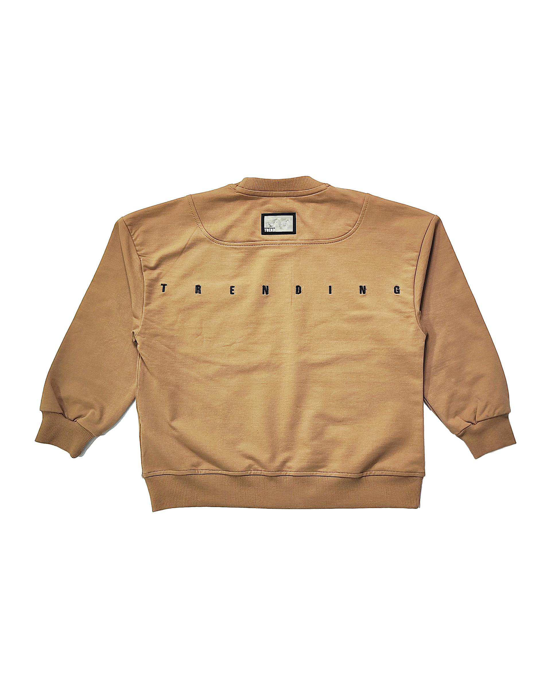 بلوز پسرانه نسکافه ای لئو کیدز Leo Kids طرح WYLD LIFE کد 2-5873