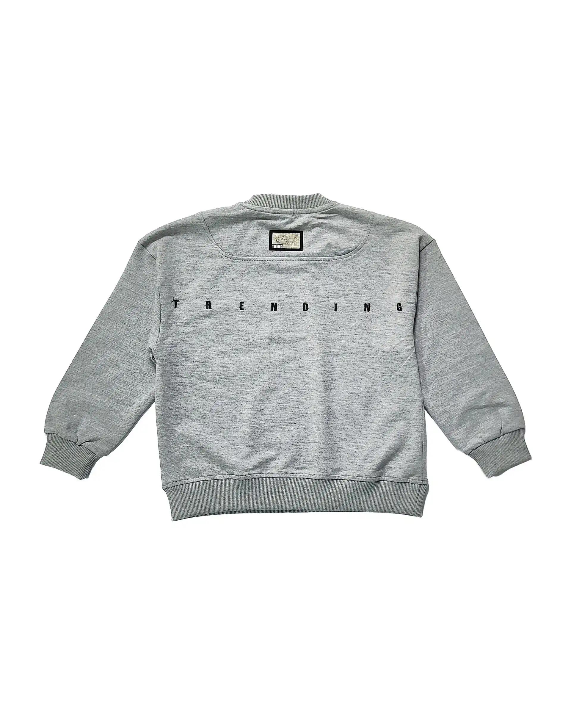 بلوز پسرانه طوسی لئو کیدز Leo Kids طرح WYLD LIFE کد 3-5873