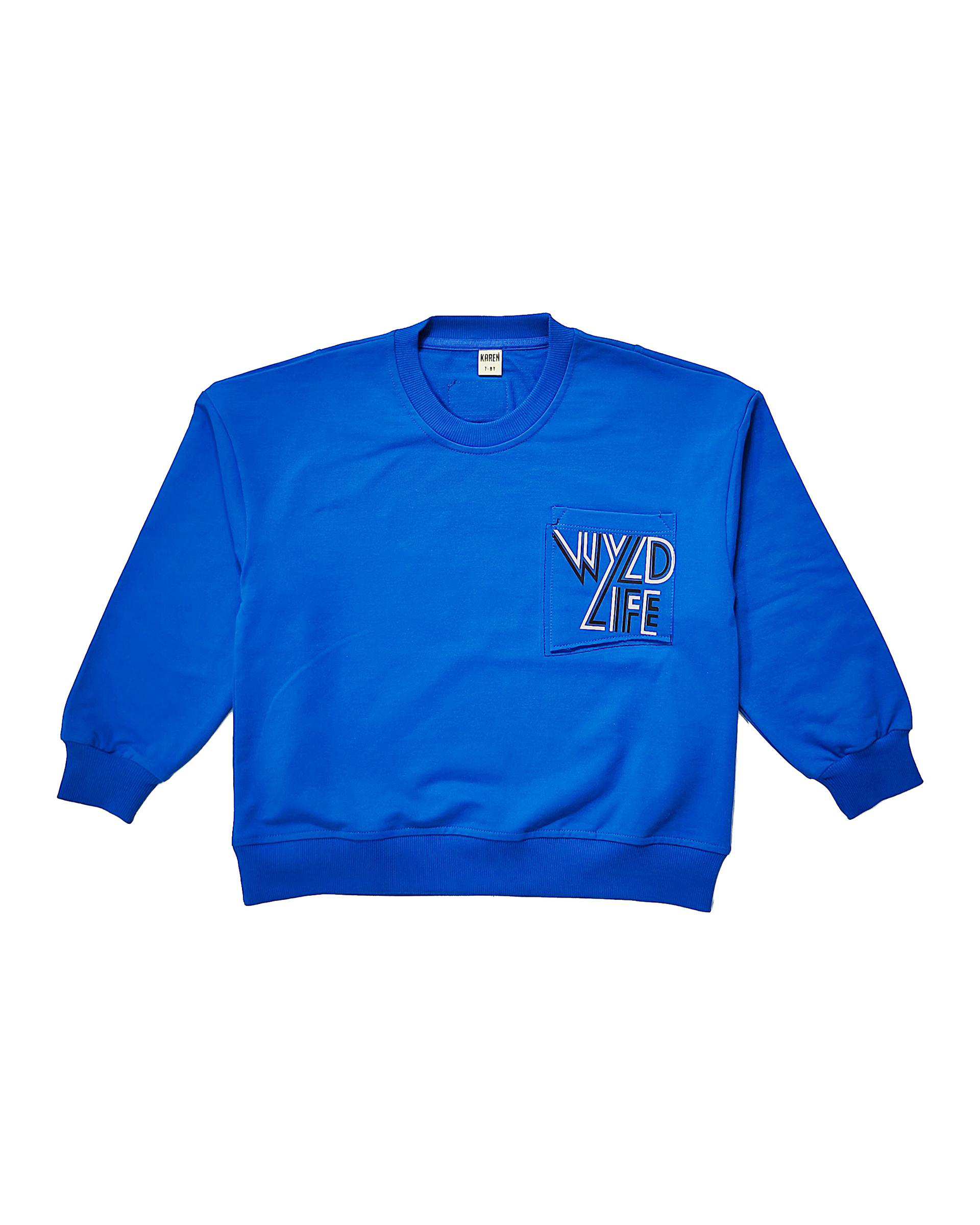 بلوز پسرانه آبی لئو کیدز Leo Kids طرح WYLD LIFE کد 4-5873