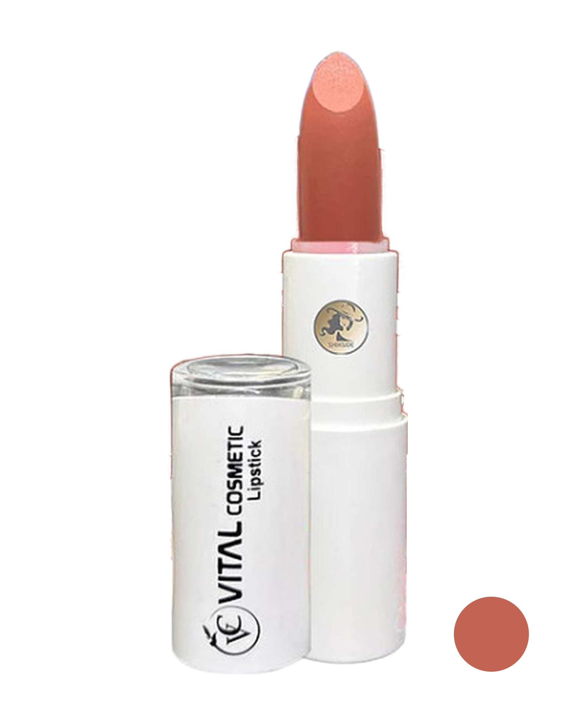 رژ لب جامد ویتال کازمتیک Vital Cosmetic شماره L06 وزن 5 گرم