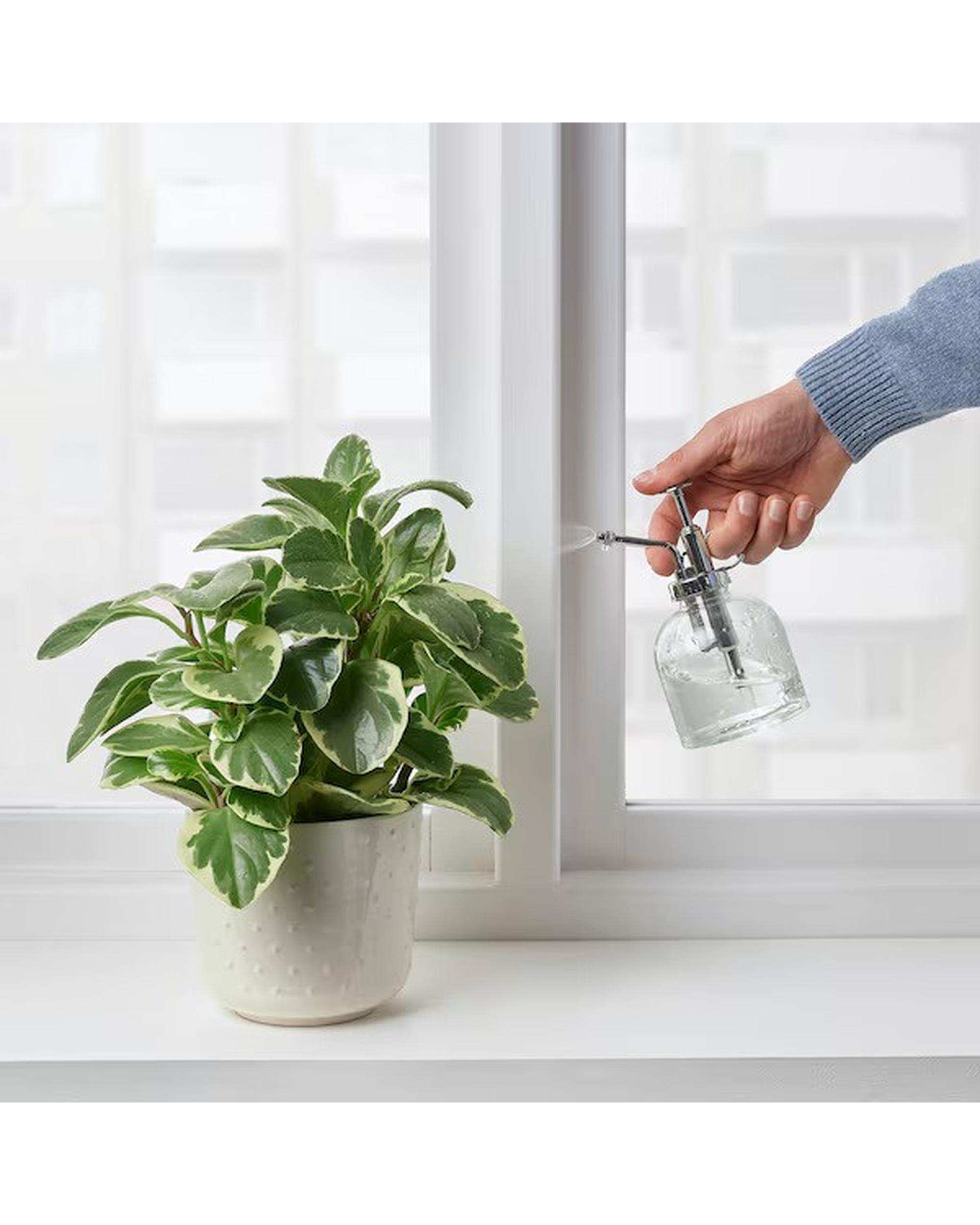 آبپاش شیشه ای ایکیا IKEA مدل SESAMFRON