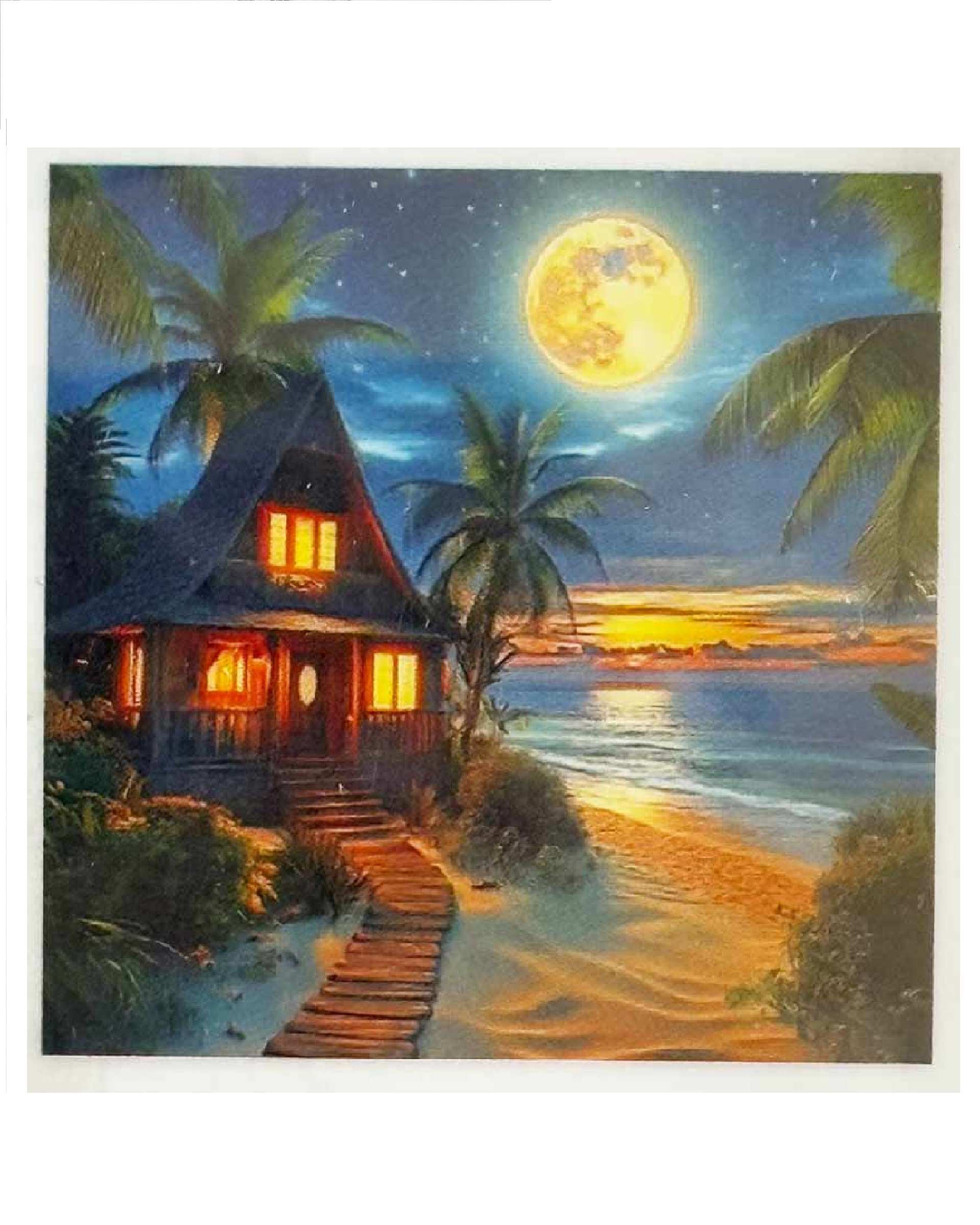 بازی آموزشی تابلو نقاشی الماسی بزرگسال پنج بعدی 5D diamond painting مدل moonlight