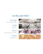 رنگ مو قهوه ای نوول Nouvelle شماره 4 حجم 100ml